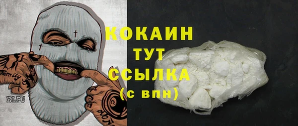 индика Заволжск