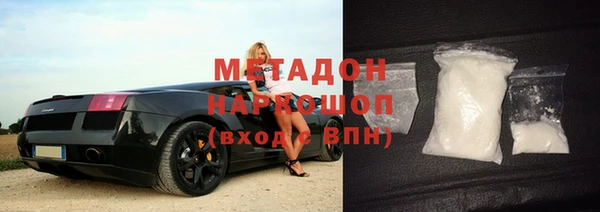 прущие грибы Ельня