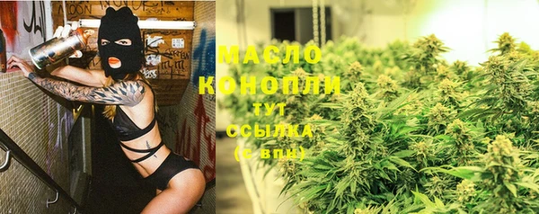 индика Заволжск