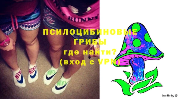 сатива Зерноград