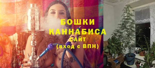 сатива Зерноград