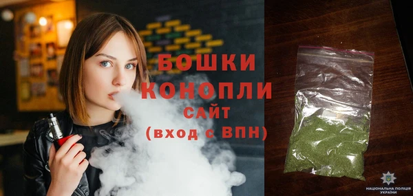 индика Заволжск